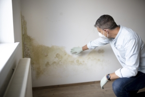 What Are the 10 Warning Signs of Mold Toxicity?